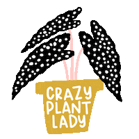 Plants Cactus Sticker by Isabel Serna