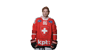 swissicehockeyfederation celebration celebrate goal nhl Sticker