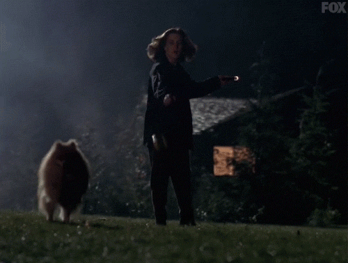 x files GIF by The X-Files