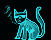 Cool Cat Smoking GIF by Barbara Pozzi
