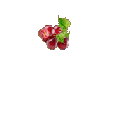Летик 2 Sticker by Letique.cosmetics