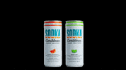 Cheers Drinks GIF by Sodka Hard Seltzer