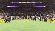 dog GIF by Westminster Kennel Club