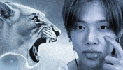 Mad K Pop GIF
