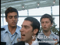 yaprakdokumu kardesim yaprak dokumu havalimanı yaprak dökümü GIF