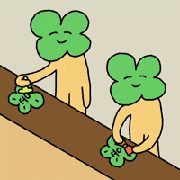 Luck Clover GIF
