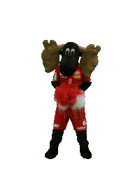 Cheer Handball Sticker by TUSEM Essen