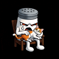 Cat Instagram GIF by SALT