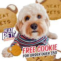 Cookies Cute Dog Sticker by Neat Pets Mementos