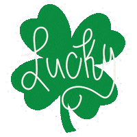 St Patricks Day Spinning Sticker