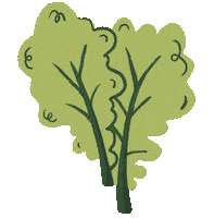 Leafy Greens Thank You Sticker by SPUD.ca