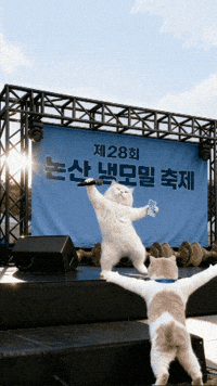 틴더스 GIF