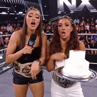 Wwe Wrestling GIF