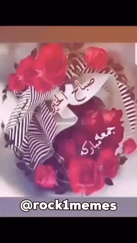 rock1memes1 giphystrobetesting giphycreatortest rock1memes GIF