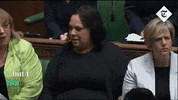 parliament mps house of commons GIF