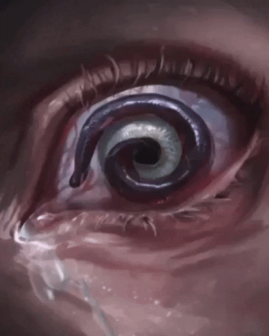 xSLYGUYx giphyupload GIF
