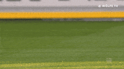 football soccer GIF by VfL Wolfsburg