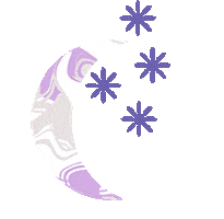 Moon Sticker