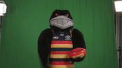 afl claude GIF by Adelaide Crows