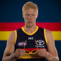 adelaidecrows 2019 afl adelaide crows afc media GIF