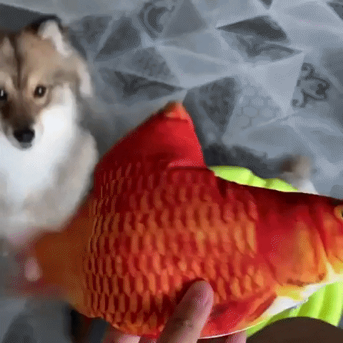 ecommerce1 giphygifmaker GIF