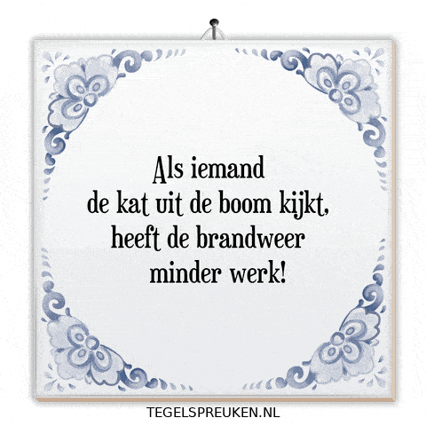 Teamwork Wijsheid GIF by Tegelspreuken.nl