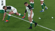 World Rugby Sport GIF by Rugby World Cup