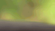 a burning hill GIF by Mitski