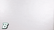 Bingbearcats GIF by Binghamton Athletics