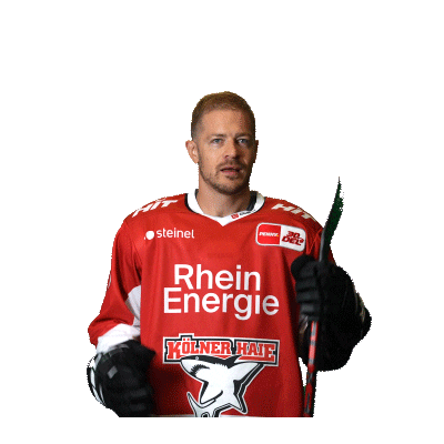 Goal Celebrate Sticker by Koelner Haie
