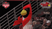 College Sports Smh GIF by College Colors Day
