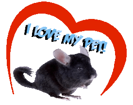 Guinea Pig Love Sticker