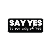 sayyesaaip say yes samhsa aaip association of american indian physicians Sticker