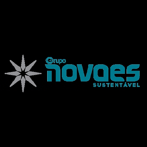 Novaesengenharia GIF by Grupo Novaes