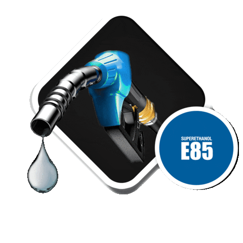 Puissance Ethanol Sticker by Motortech Performance