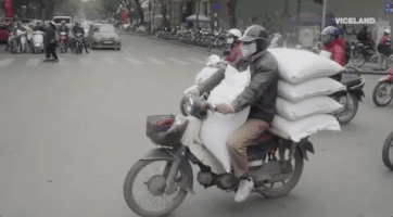 viceland GIF by Dead Set on Life