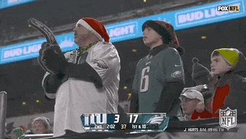 National Football League GIF by NFL