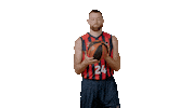 Liga Endesa Basketball Sticker by ACB