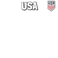 United States Football Sticker by Pudgy Penguins