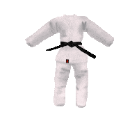 judobuddy judo judoka czech judo judo buddy Sticker