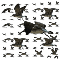 black and white looping GIF by weinventyou