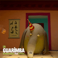 Excited Happy Birthday GIF by La Guarimba Film Festival