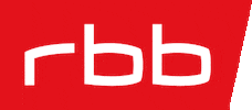 Rbb Fernsehen Brand GIF by rbb