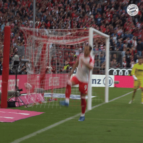 Harry Kane Sport GIF by FC Bayern Munich