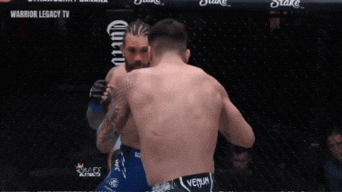 Ufc Chile GIF