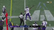 New England Patriots Football GIF by Minnesota Vikings