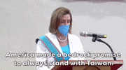 Nancy Pelosi Taiwan GIF by GIPHY News
