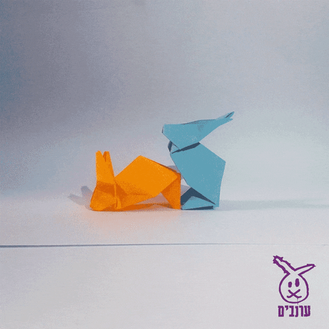 arnavim bunnies arnavim GIF