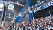 Jonas Wind Flag GIF by F.C. København