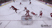 happy ice hockey GIF by NHL